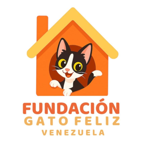 GATO FELIZ VENEZUELA
